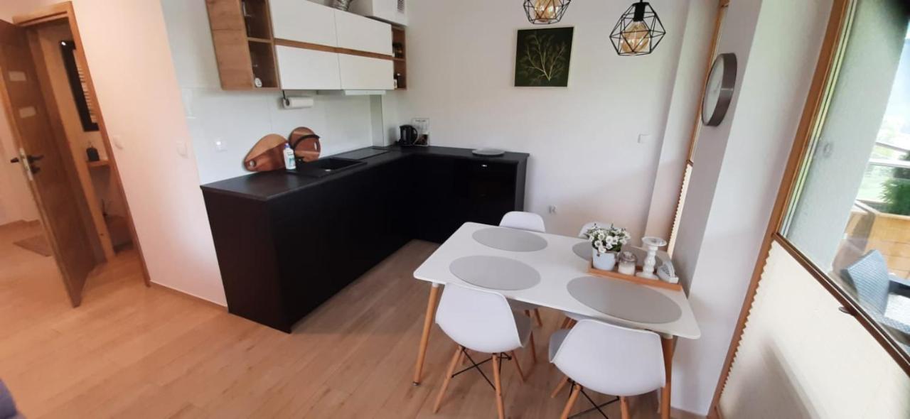 Apartamenty Bachledzki Wierch زاكوباني المظهر الخارجي الصورة